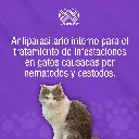 FELINNEX_2TABS_01.webp