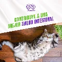 FELINNEX_2TABS_04.webp