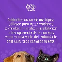 OFTAPROC_M_10ML_01.webp