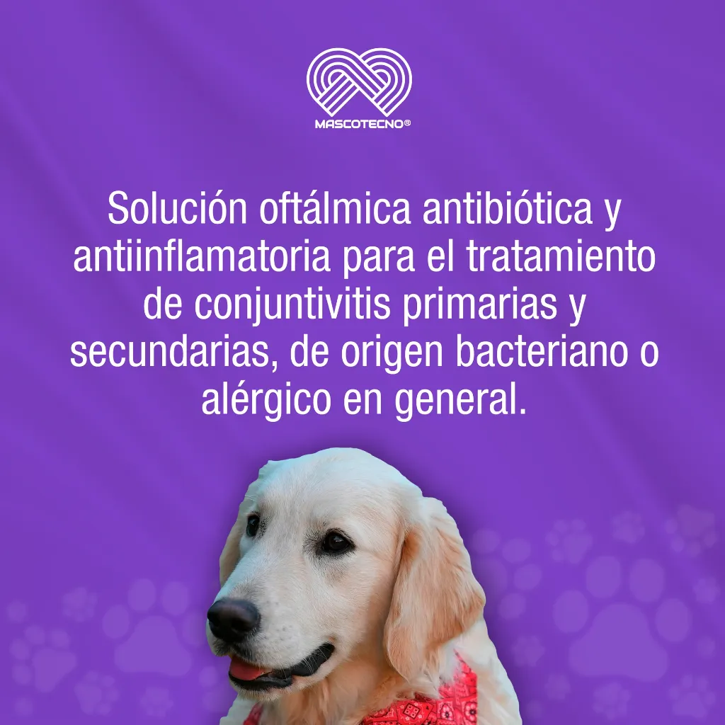 OFTAPROC_E_10ML_01.webp