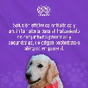 OFTAPROC_E_10ML_01.webp