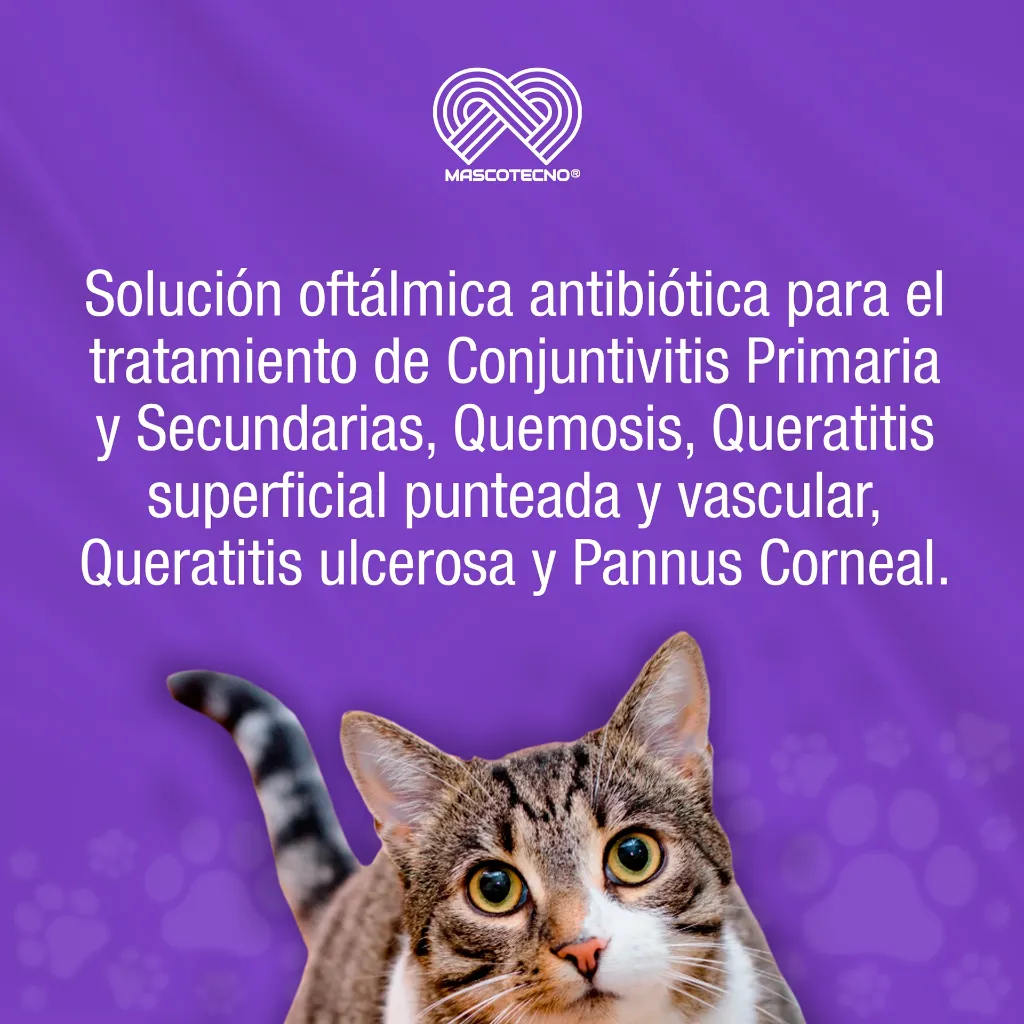 OFTAPROC_C_10ML_01.webp