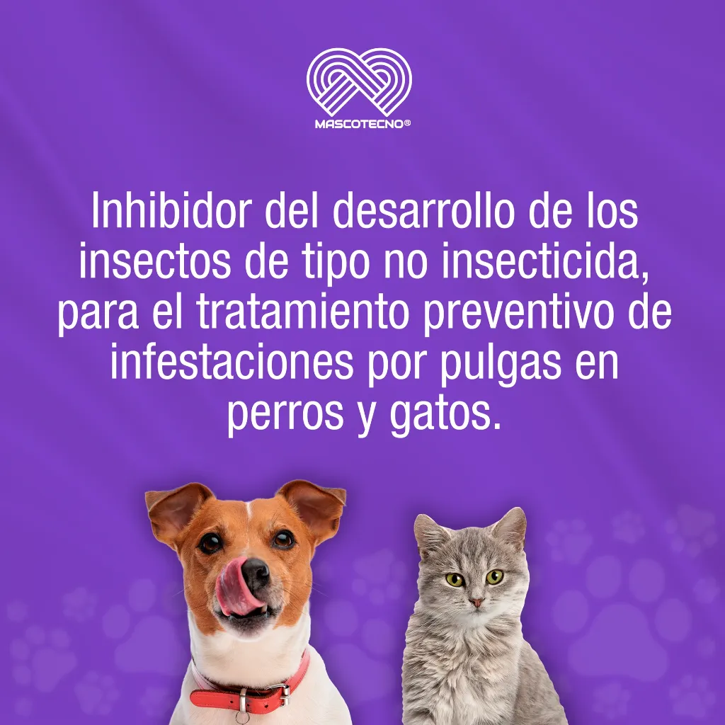 SINPULGAR_205.9MG_6TABS_01.webp