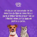 SINPULGAR_205.9MG_6TABS_01.webp