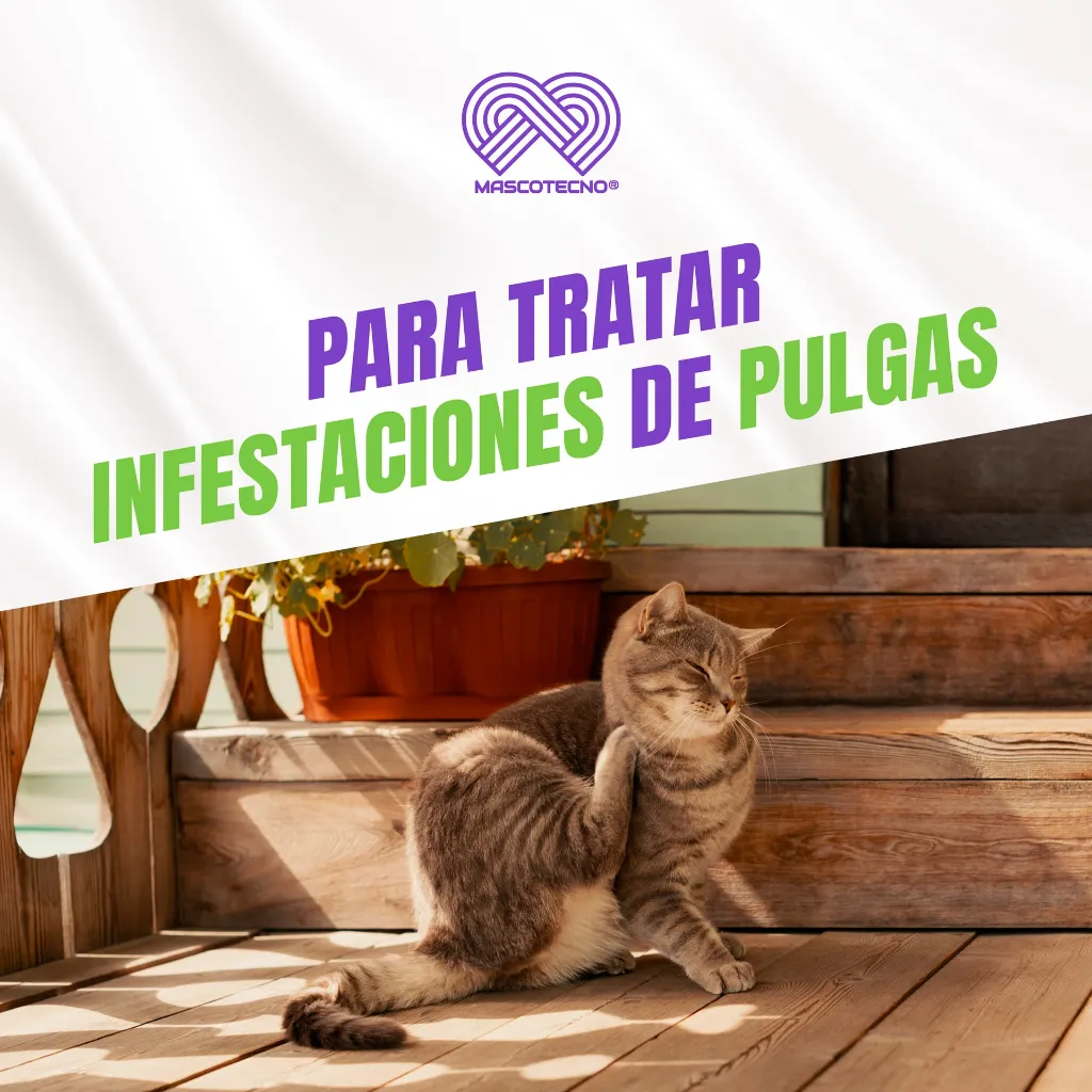 SINPULGAR_205.9MG_6TABS_04.webp