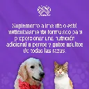 NEURESCUE_FCO_50TABS_01.webp