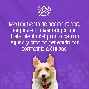 APOQUEL_5.4MG_20TABS_01.webp