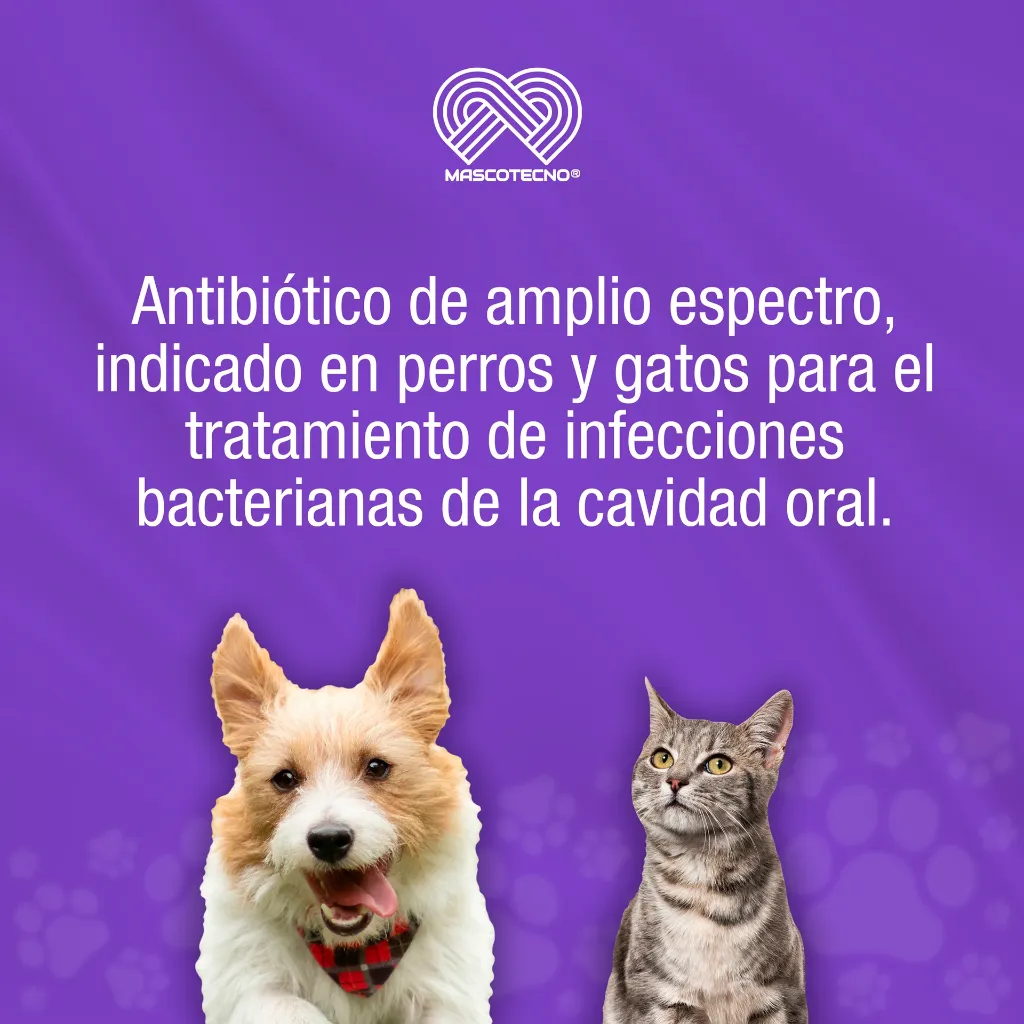 STOMIZOL_10MG_10TABS_01.webp
