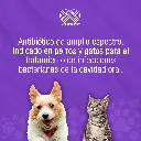 STOMIZOL_10MG_10TABS_01.webp