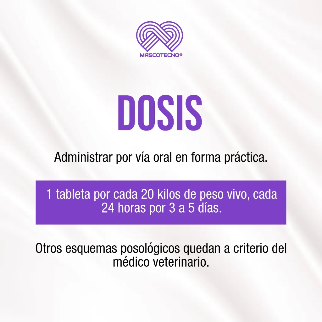 STOMIZOL_10MG_10TABS_03.webp