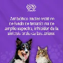 DOXIPHAR_PET_10ML_01.webp