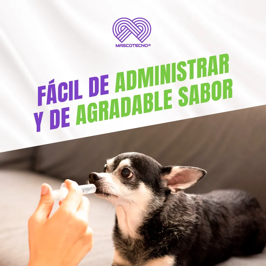 DOXIPHAR_PET_10ML_04.webp