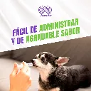 DOXIPHAR_PET_10ML_04.webp