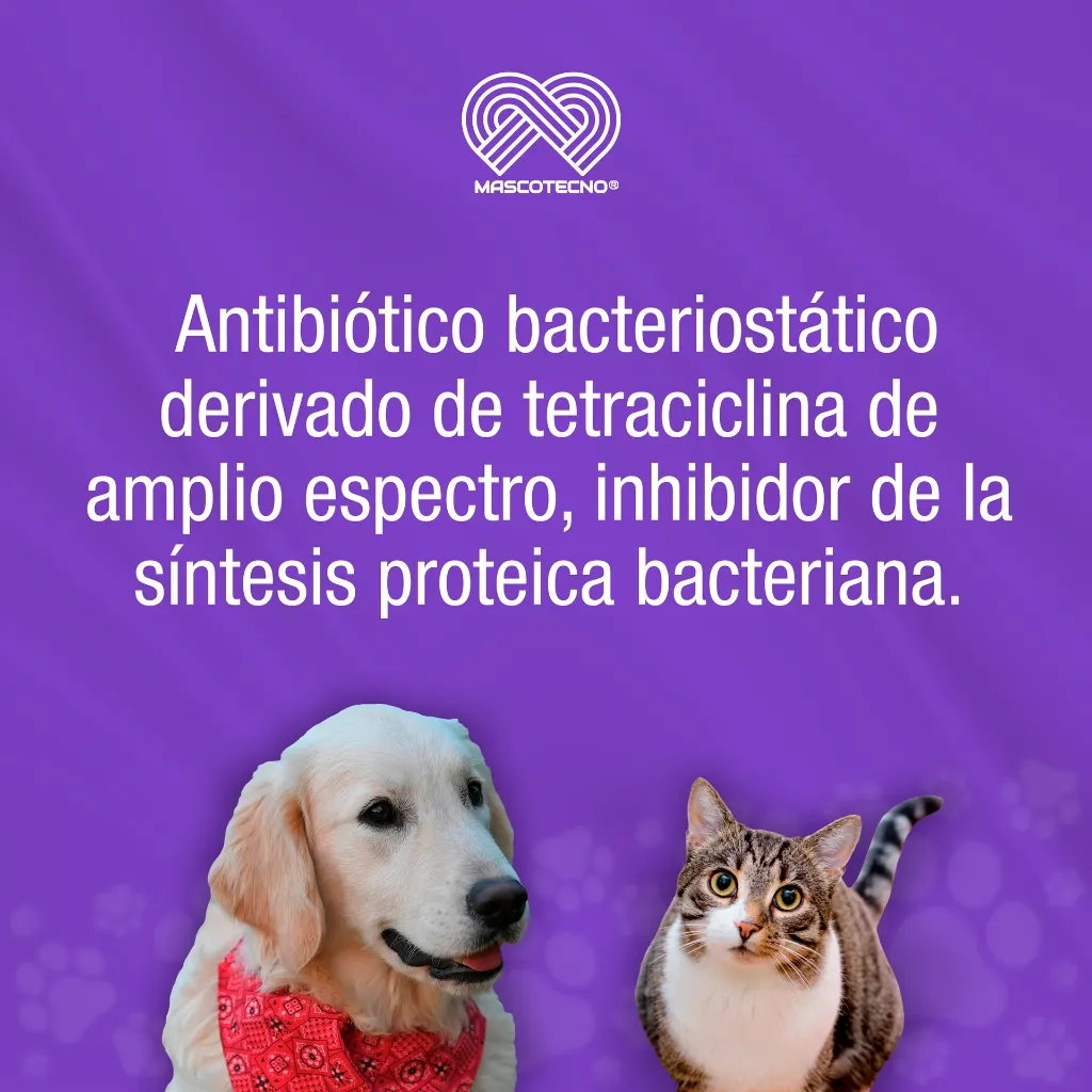 DOXIPHAR_PET_20ML_01.webp