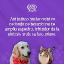 DOXIPHAR_PET_20ML_01.webp