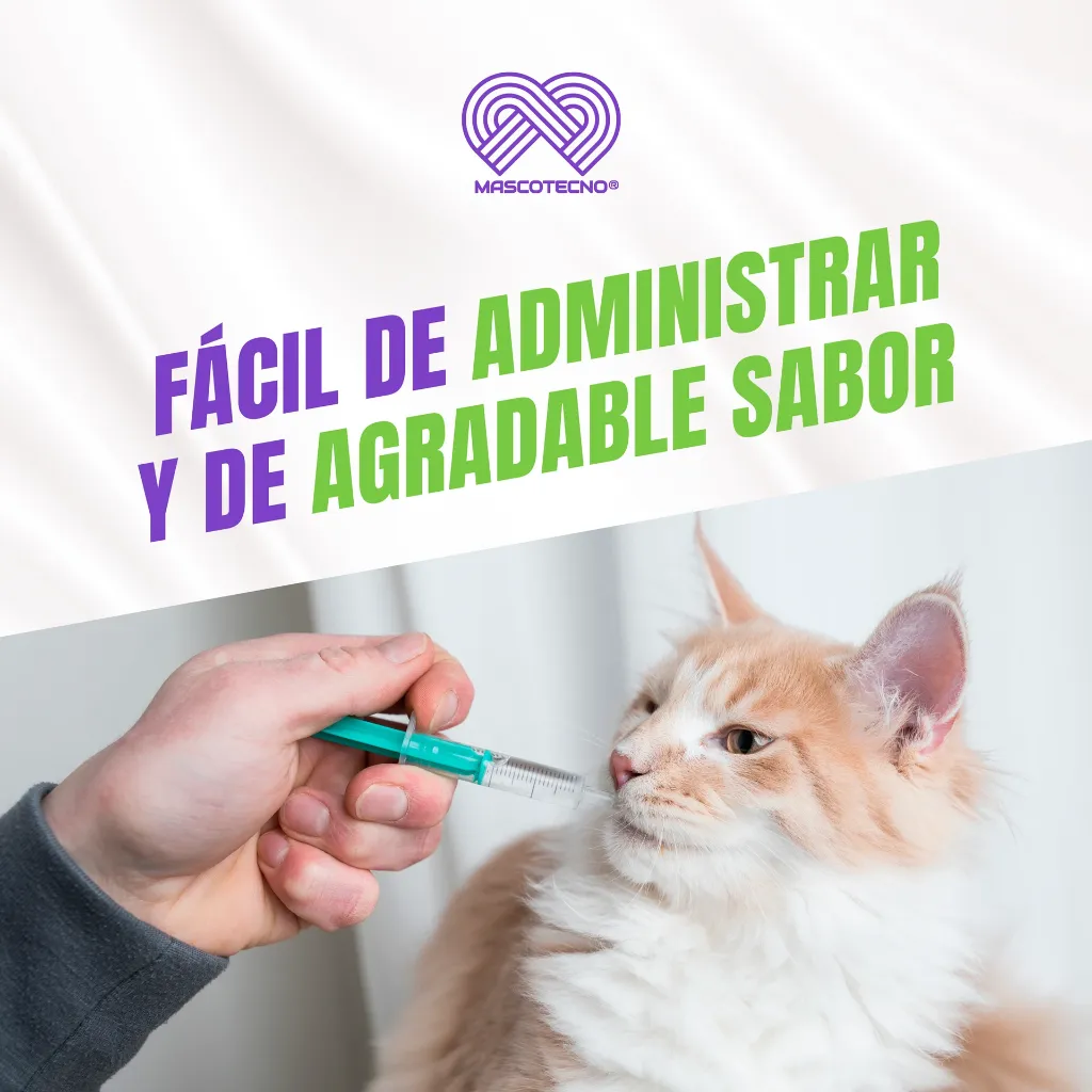 DOXIPHAR_PET_20ML_04.webp