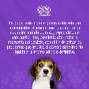GRADUAL_PERROS_ORAL_300G_01.webp