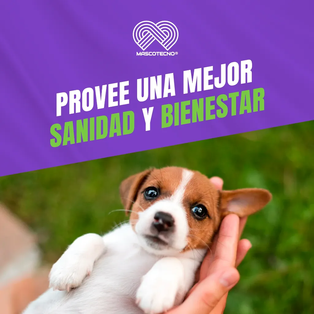 GRADUAL_PERROS_ORAL_300G_05.webp