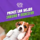 GRADUAL_PERROS_ORAL_300G_05.webp