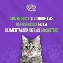 MIRRAPEL_POLVO_300ML_05.webp