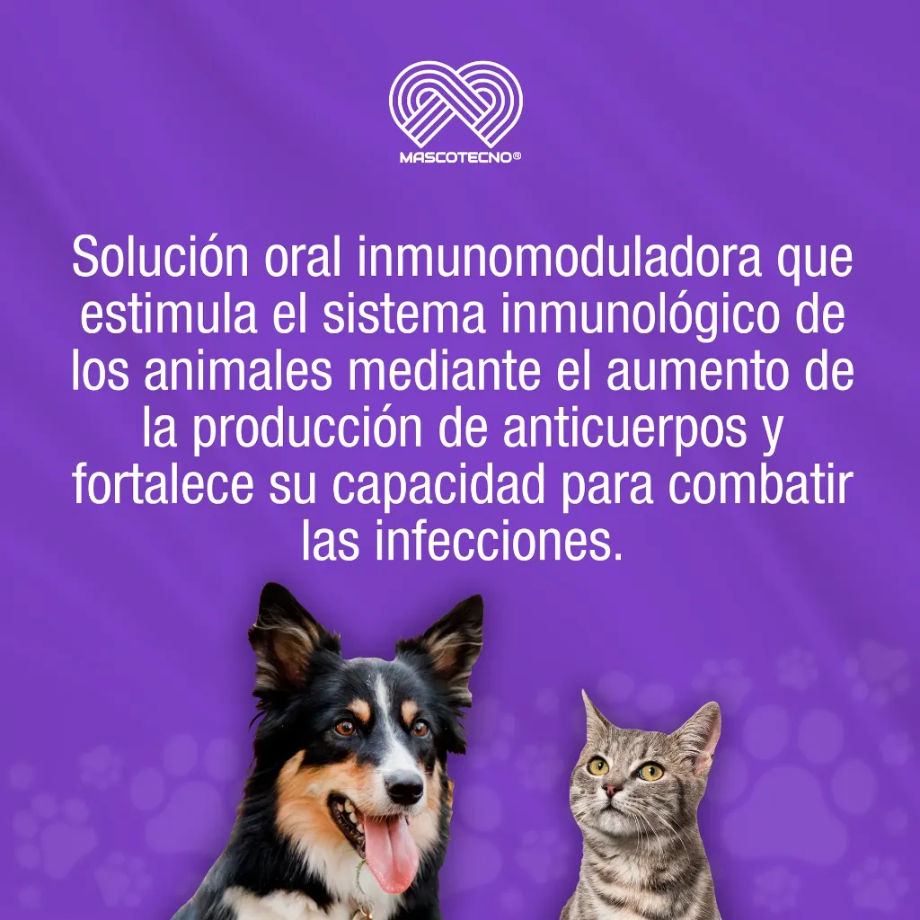 IMMUNOL_100ML_01.webp