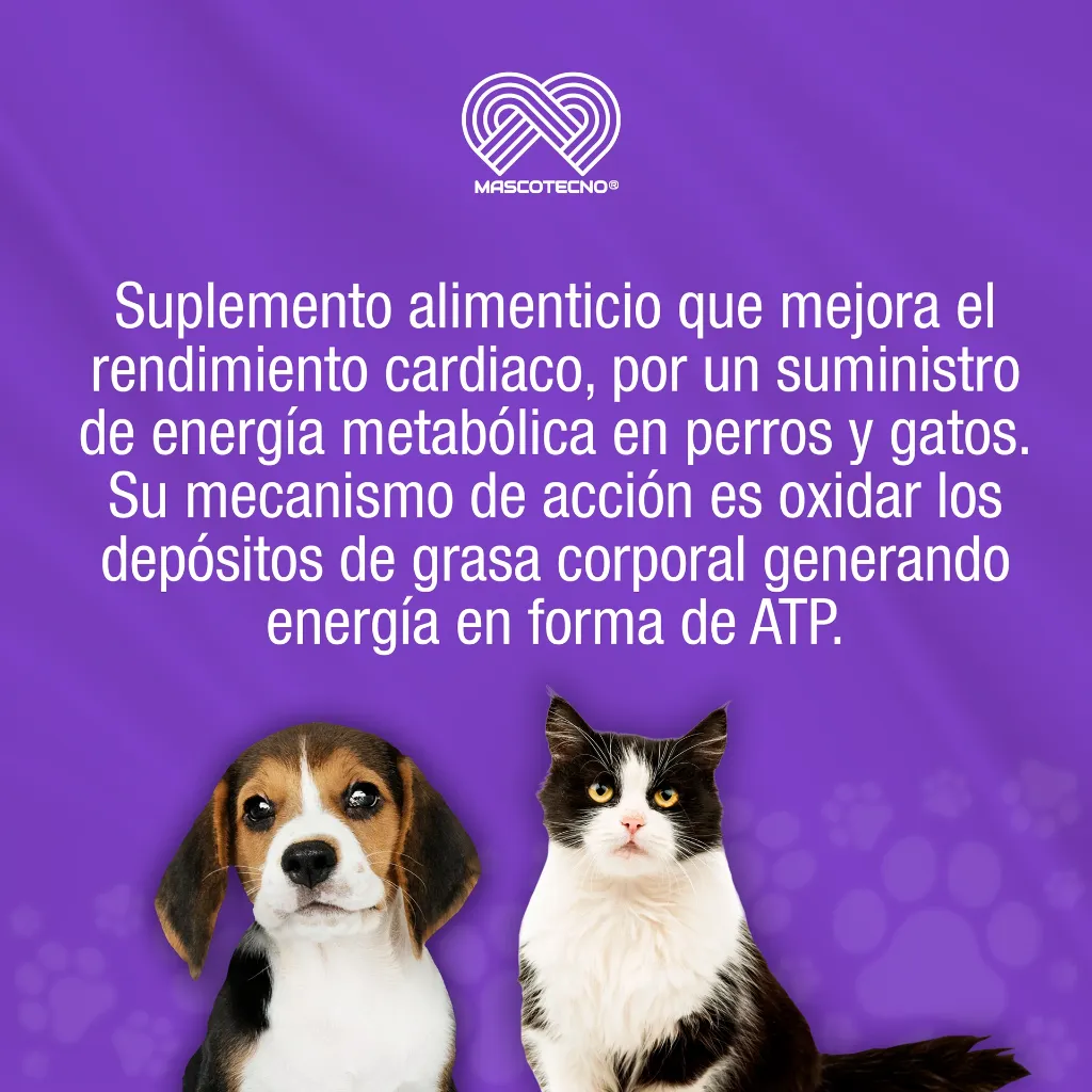 JORZ_100ML_01.webp