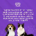 JORZ_100ML_01.webp