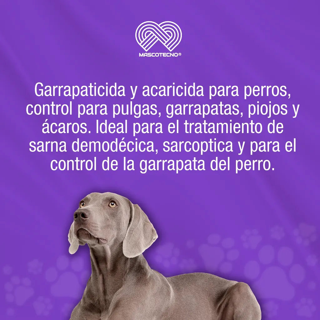 BANNOL_EC_33ML_01.webp