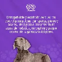 BANNOL_EC_33ML_01.webp