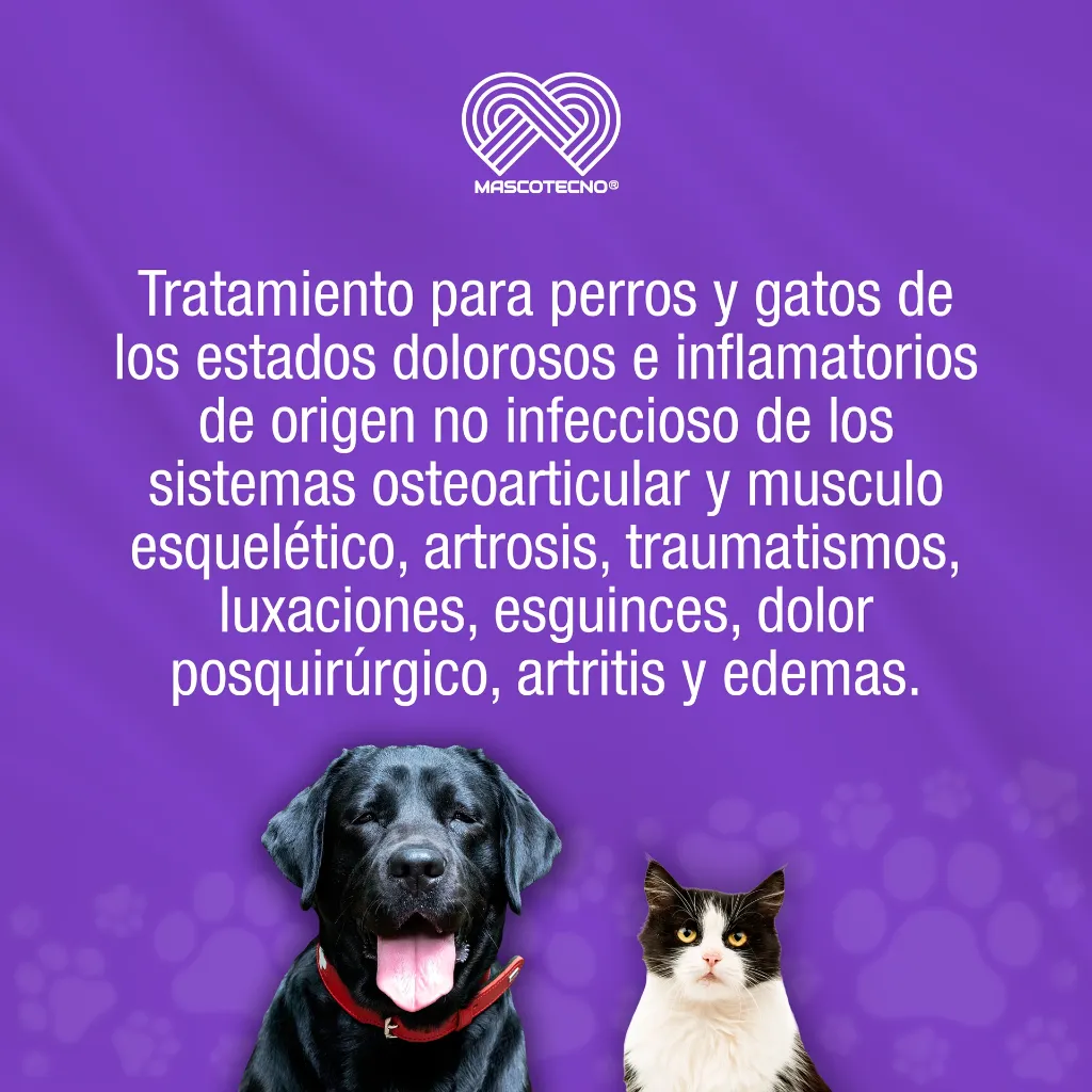 ANKOFEN_20MG_10TABS_01.webp
