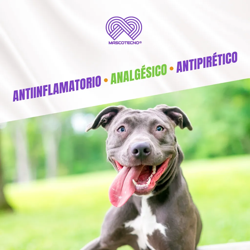 ANKOFEN_20MG_10TABS_04.webp
