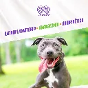 ANKOFEN_20MG_10TABS_04.webp