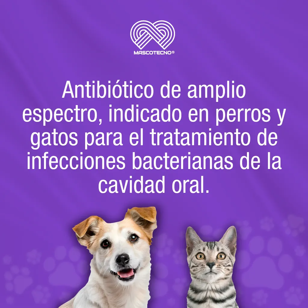 STOMIZOL_20MG_10TABS_01.webp