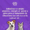 STOMIZOL_20MG_10TABS_01.webp