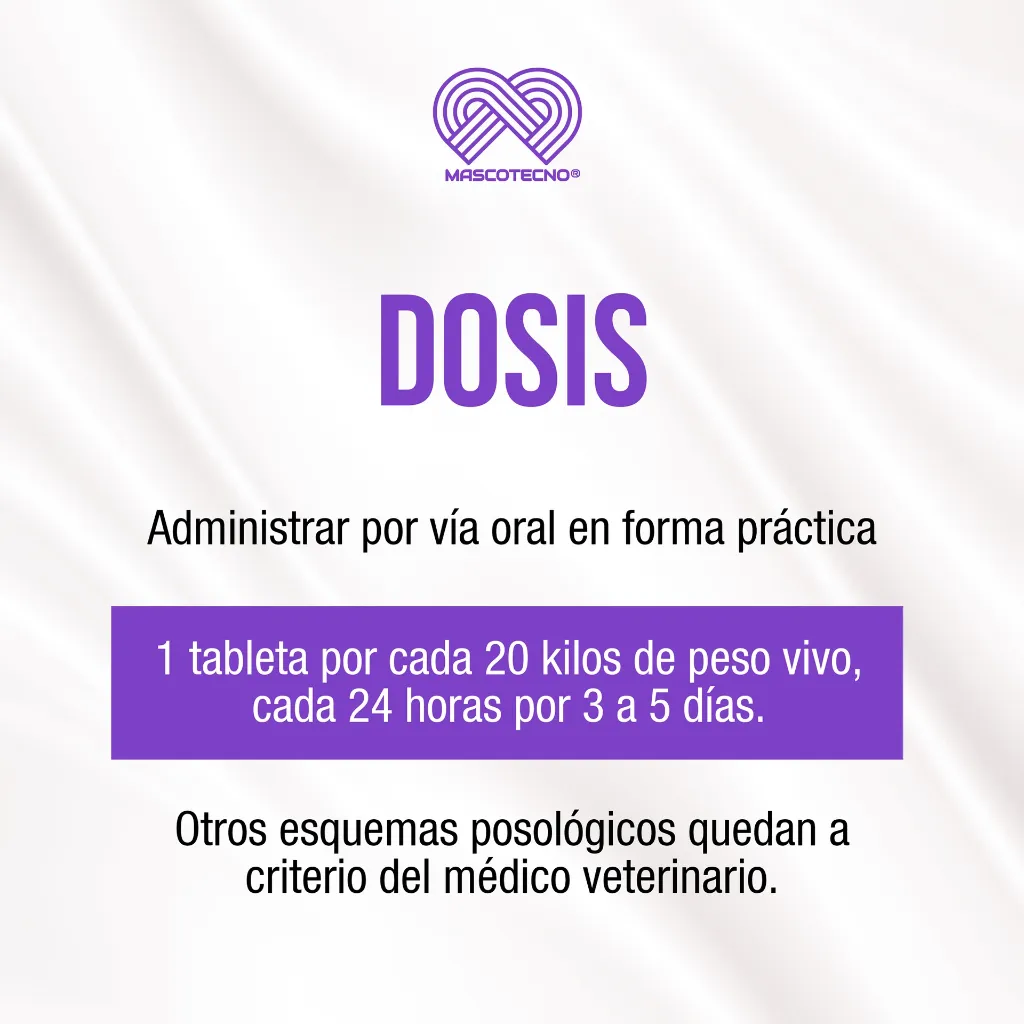 STOMIZOL_20MG_10TABS_03.webp