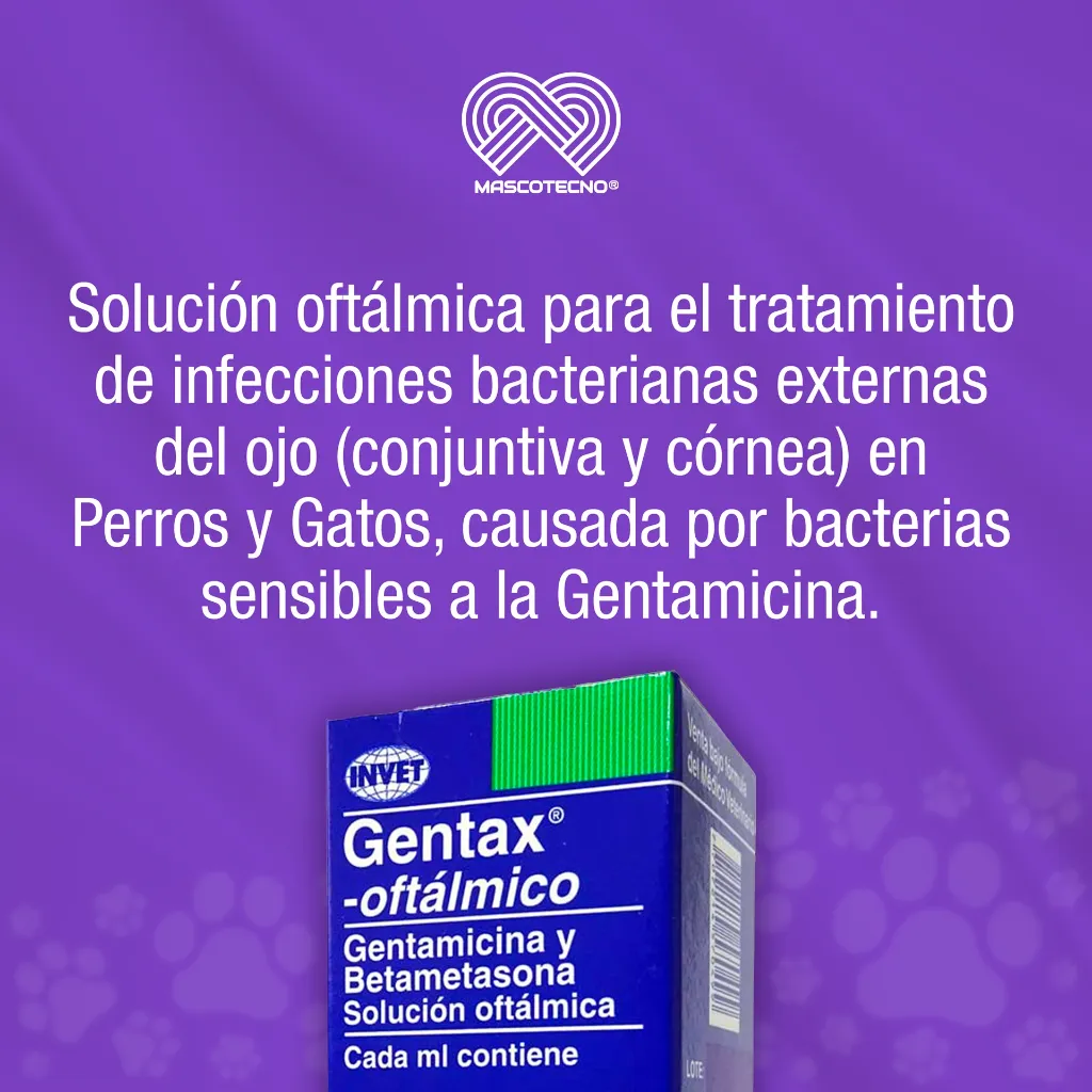 GENTAX_OFTALMICO_10ML_01.webp
