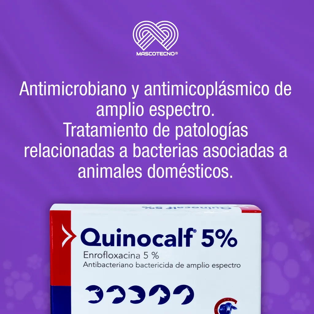 QUINOCALF_5_INY_10ML_01.webp