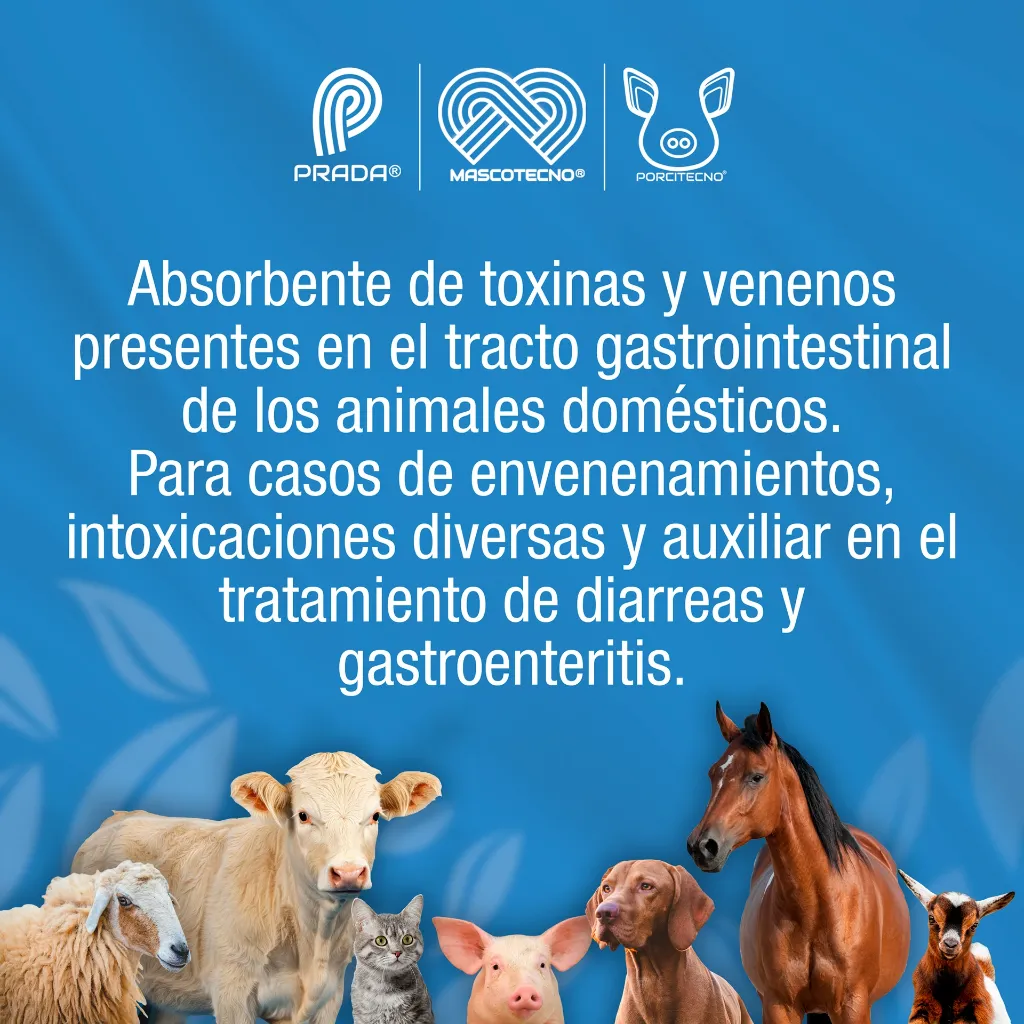 ENTEROMAX_SOBRE8G_01.webp