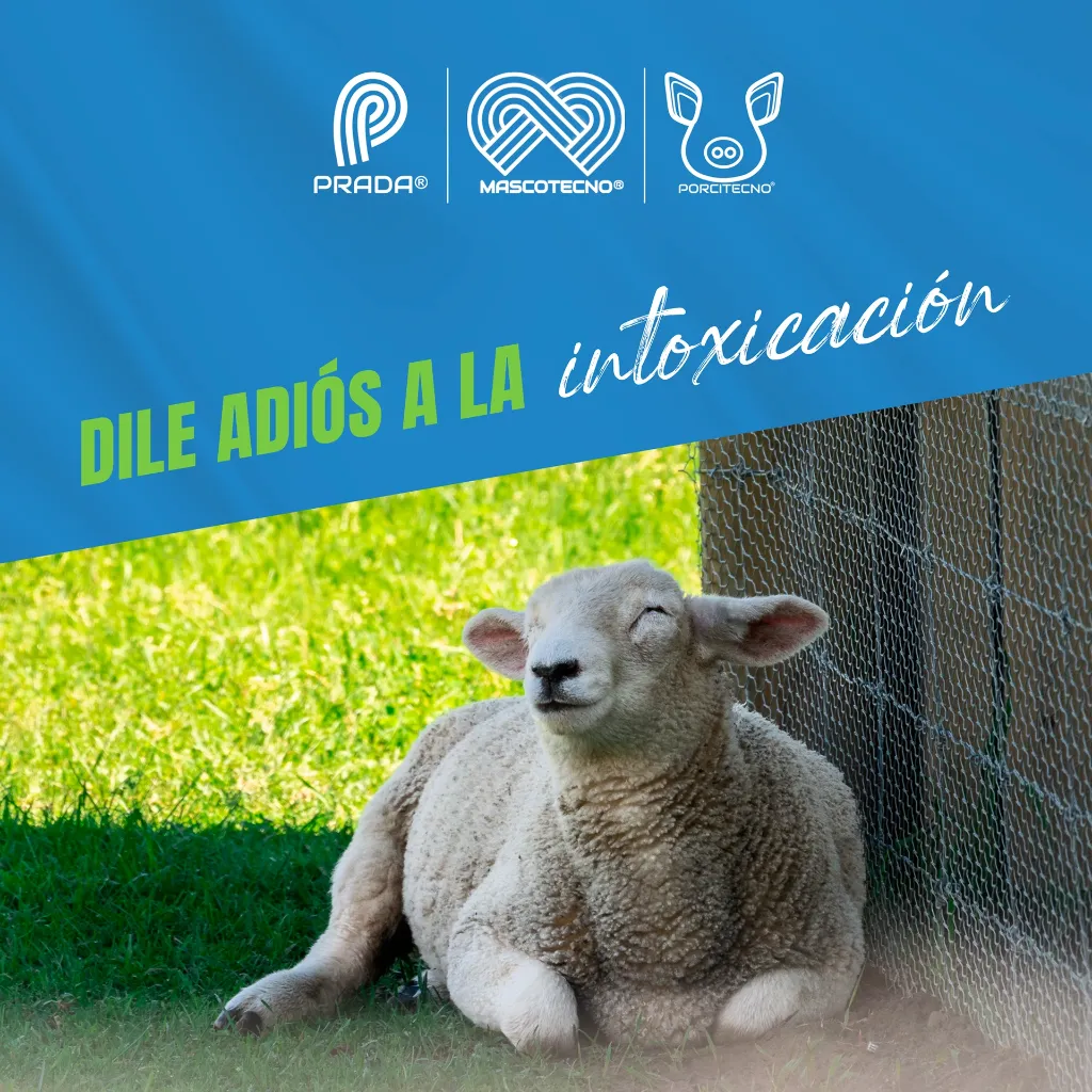 ENTEROMAX_SOBRE8G_05.webp