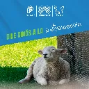 ENTEROMAX_SOBRE8G_05.webp