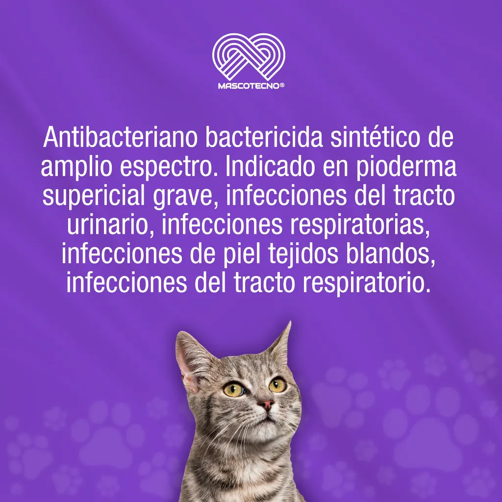 MARBOQUIN_25MG_10TABS_01.webp