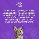 MARBOQUIN_25MG_10TABS_01.webp
