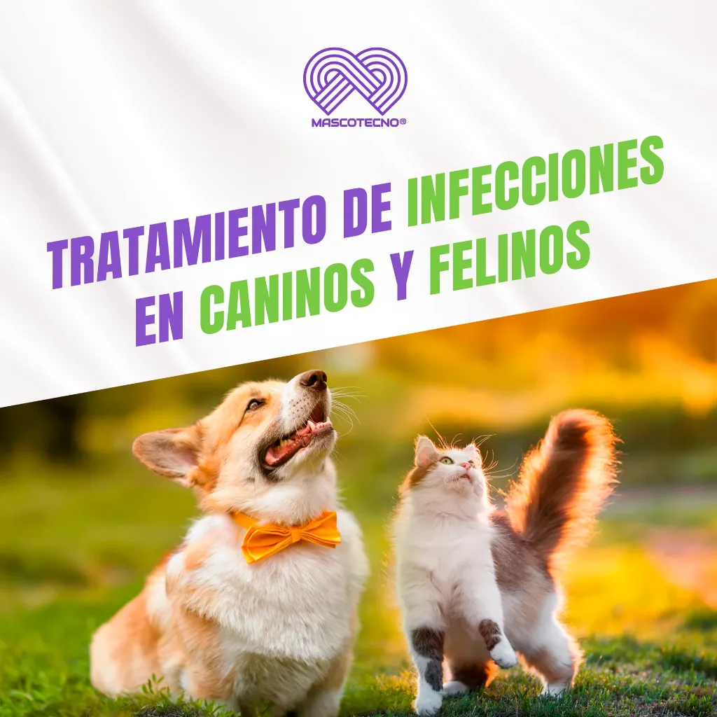 MARBOQUIN_25MG_10TABS_04.webp