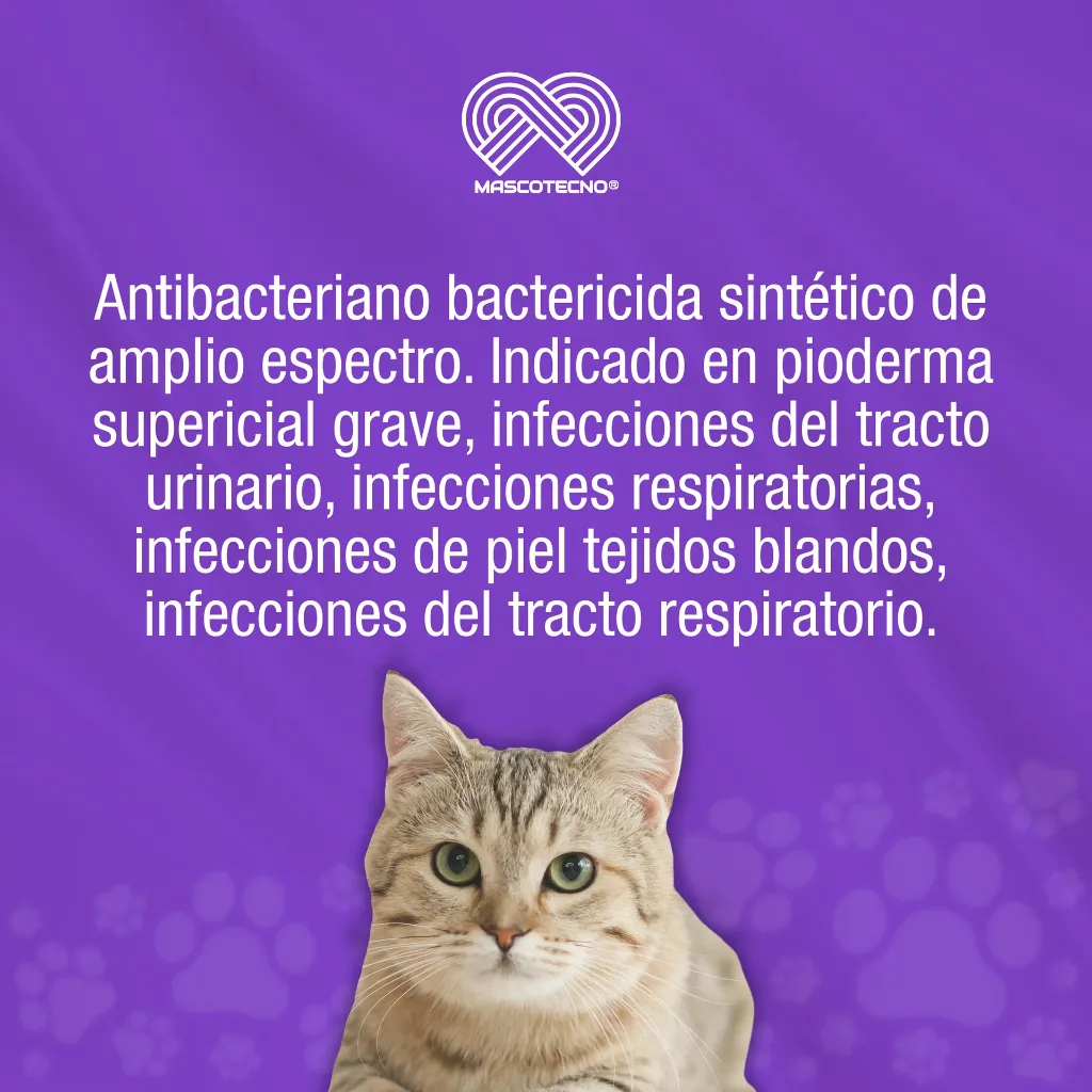 MARBOQUIN_5MG_10TABS_01.webp