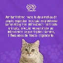 MARBOQUIN_5MG_10TABS_01.webp