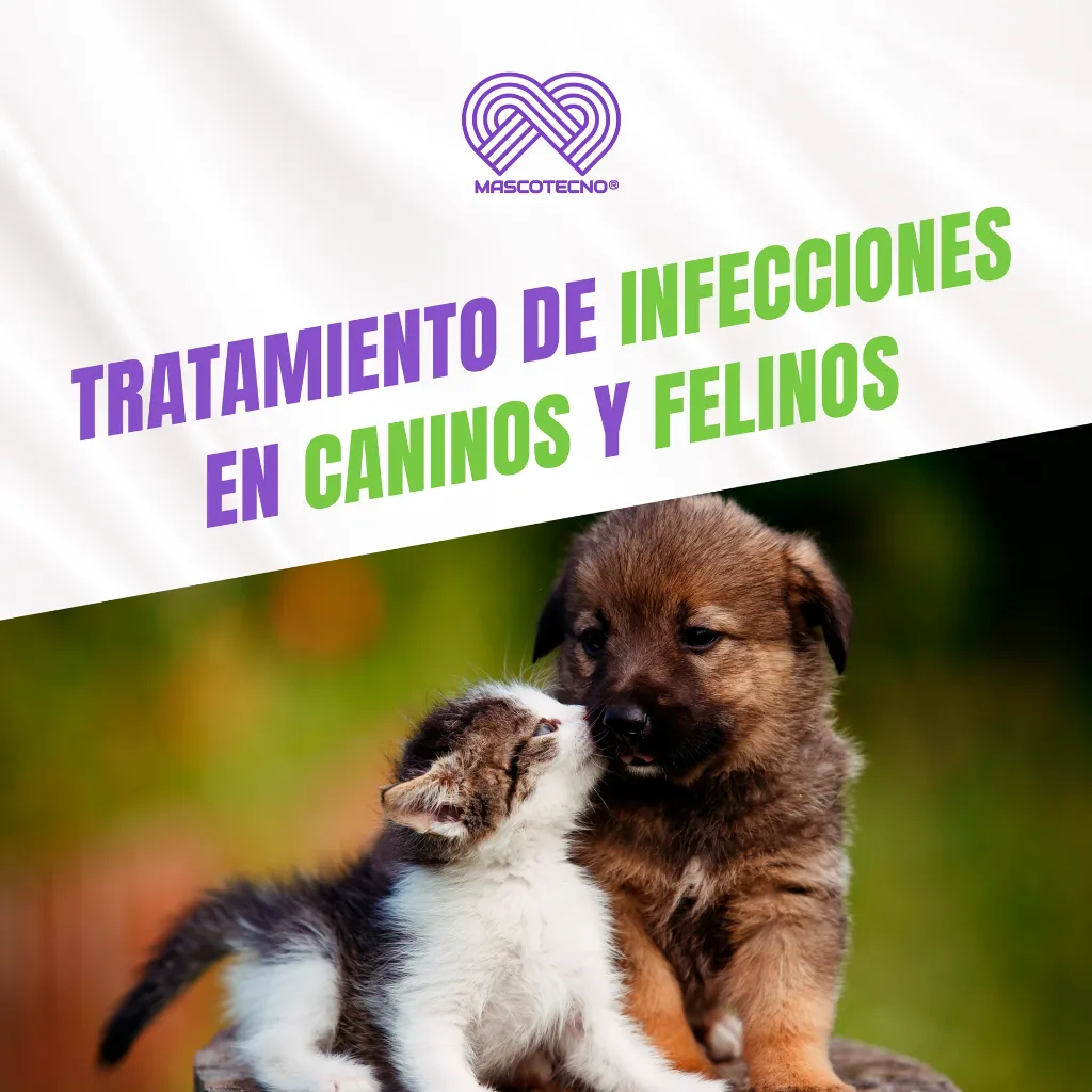 MARBOQUIN_5MG_10TABS_04.webp