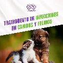 MARBOQUIN_5MG_10TABS_04.webp