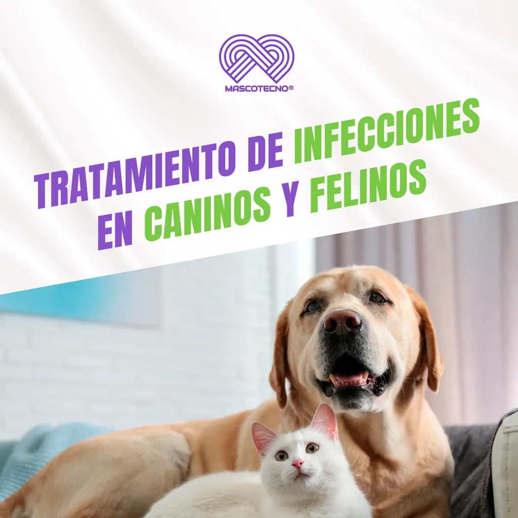 MARBOQUIN_25MG_30TABS_04.webp