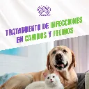 MARBOQUIN_25MG_30TABS_04.webp