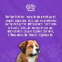 MARBOQUIN_50MG_10TABS_01.webp